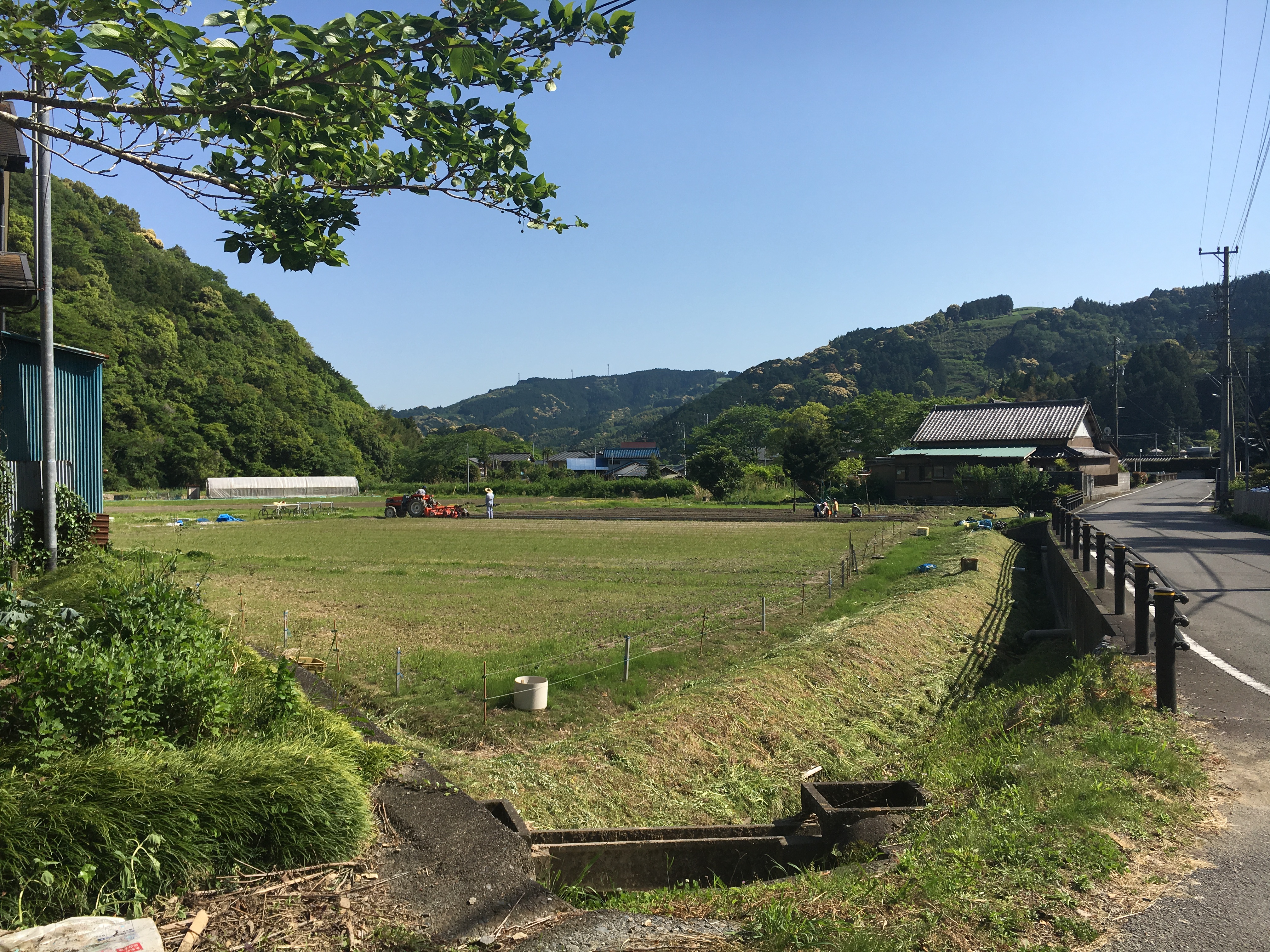 無農薬野菜とは一体なんなのか 本当に体にいいのか 有機野菜との違いも解説 田舎暮らしブログ